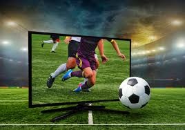 神经科学：解析“大脑决策区域的萎缩”与长期重度博彩的关联。（神经科学视角：长期重度博彩与大脑决策中枢萎缩的关联）